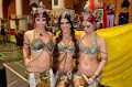 Tribal2013   150